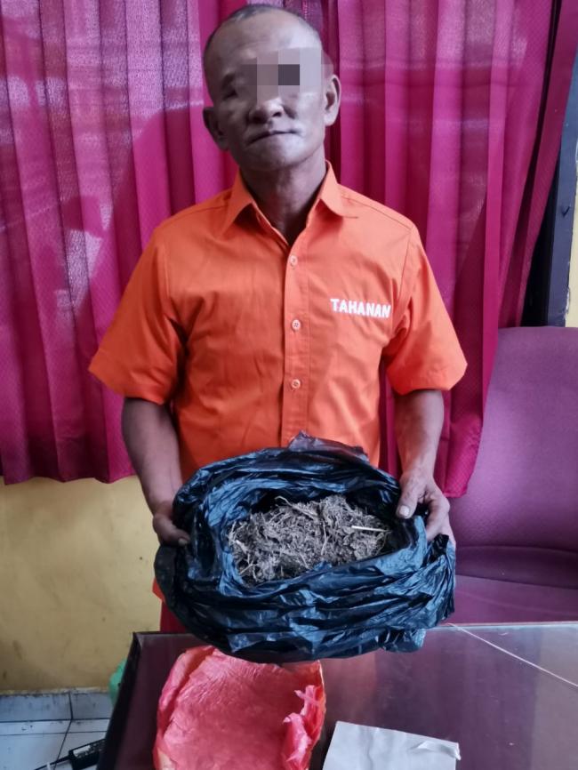 Dengan sigap nya lagi lagi Polsek Tapung Hulu Ringkus 3 Pelaku Narkoba