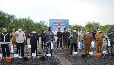Dampingi Gubri, Dr Makmun Murodd : 80.000 Bibit Bakau Ditanam dengan Luas Lahan 20 Ha