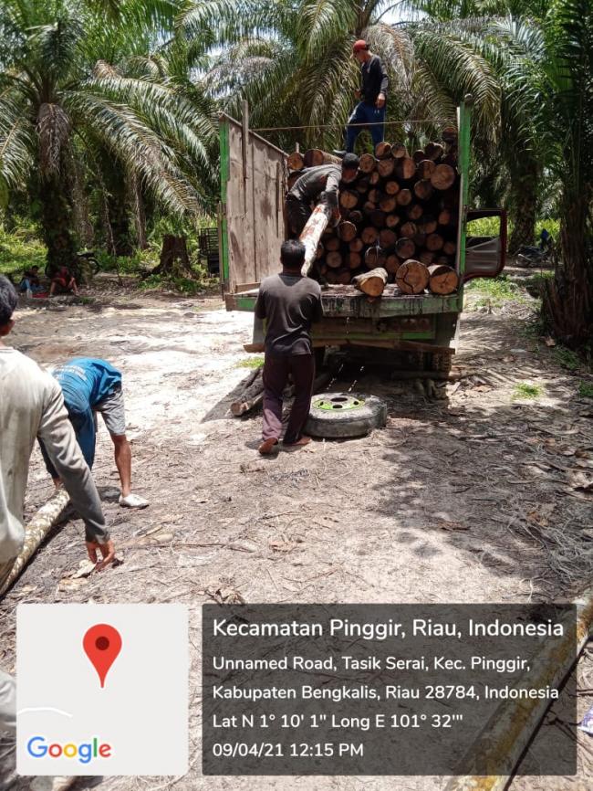Dugaan Perusakan Lingkungan Hutan Biosfer Nyawa Pak RT Terancam