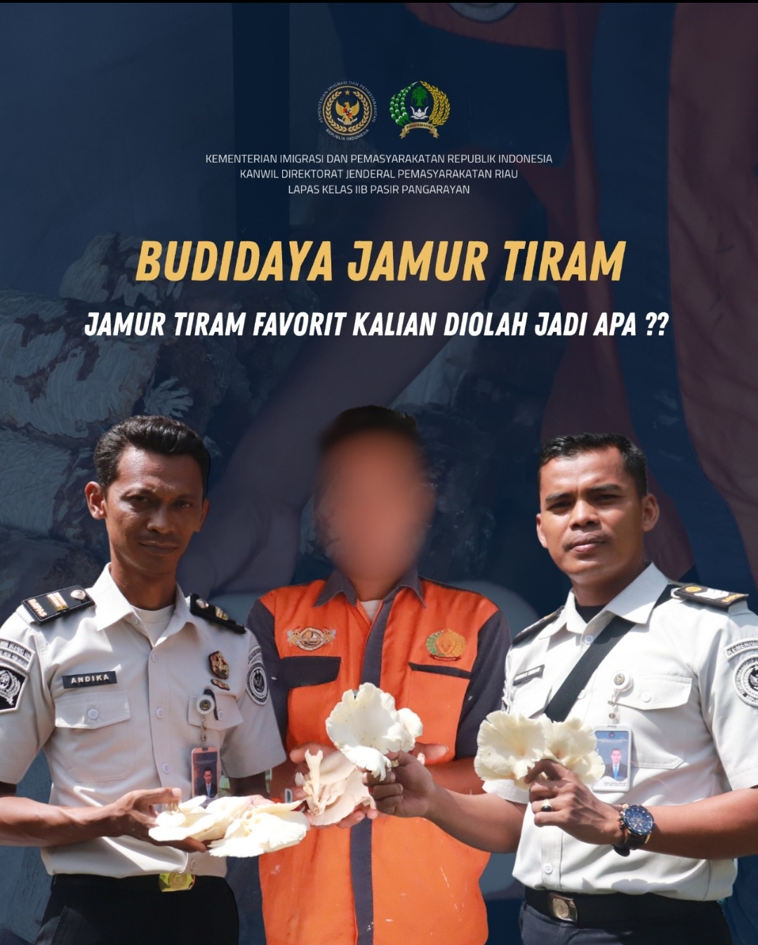 Warga Binaan Lapas Pasir Pangarayan Terus Budidaya Jamur Tiram sebagai Bekal Kemandirian