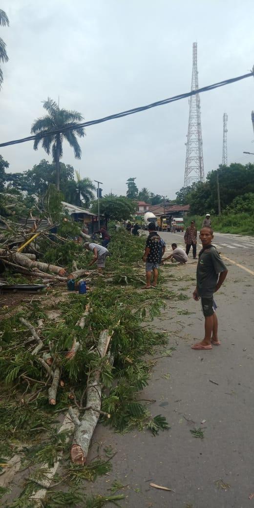 Akibat angin kencang,rumah warga rusak tertimpa pohon yang roboh