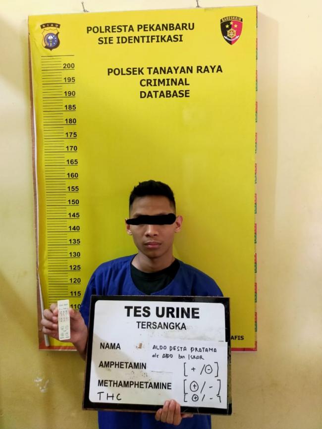 Polsek Tenayan Raya Kembali Amankan Seorang Pelaku Peredaran Narkotika Jenis Pil Ekstasi