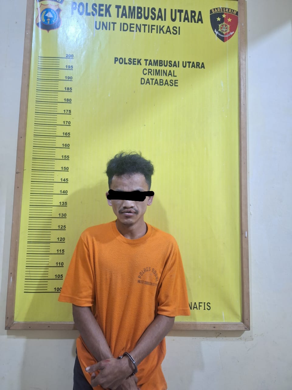 Gerak Cepat, Polsek Tambusai Utara Tangkap Pelaku Pencurian dengan Kekerasan