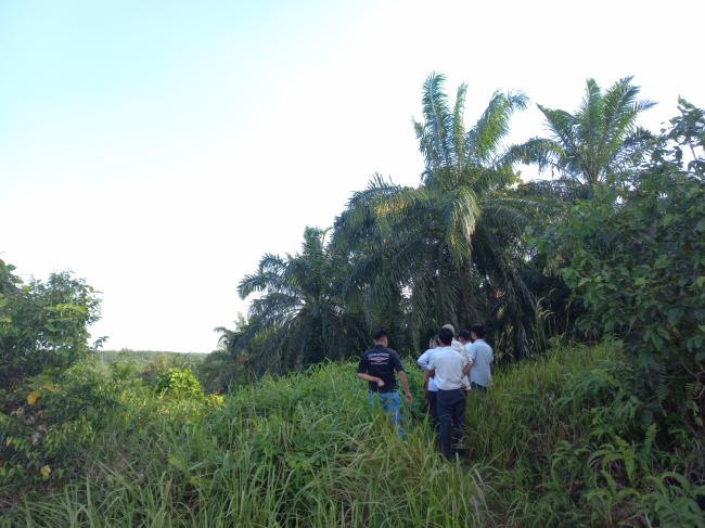 Komisi II DPR RI Rekomendasikan Bentuk Tim Untuk Tuntaskan Permasalahan Tanah Di Riau