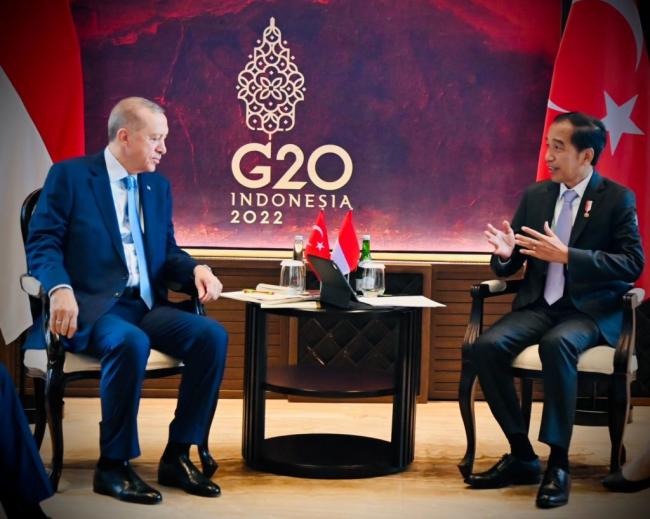 Presiden Jokowi Lakukan Pertemuan dengan Presiden Erdogan