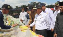 H.M Harris Komit Jadikan Pelalawan Kawasan Pengembangan Padi