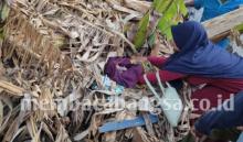 Bayi Hidup Ditemukan di Kebun Dekat Kuburan, Kondisinya Membiru Kedinginan