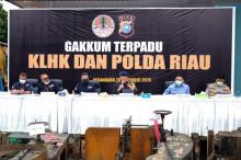 Gakkum Kementerian Lingkungan Hidup Dan Polda Riau Ungkap Kasus Penebangan Liar