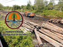 Kedatangan Intansi Kehutanan Pusat & Polhut Riau Ke Meranti Diduga di Stel Mafia Kayu Ilegal