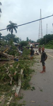 Akibat angin kencang,rumah warga rusak tertimpa pohon yang roboh