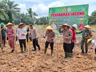 Dukung Ketahanan Pangan, PT. Naga Mas Agro Mulia II Bersama Rohul Tanam Jagung Desa Talikumain