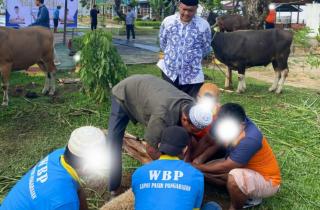 Kurban 11 Ekor Sapi dan 7 Ekor Domba, Daging Dibagikan untuk Warga Binaan dan Masyarakat Sekitar