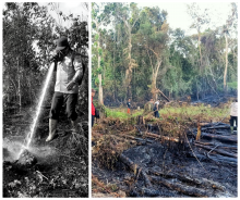 Ditengah Upaya Penanganan Covid-19, Polda Riau Tetap Komit Menangani Karhutla